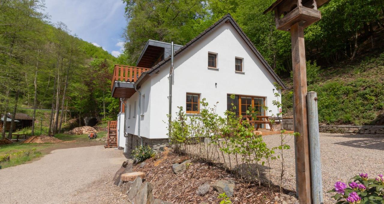 Rursee Schilsbachtal - Naturnahe Auszeit am Rursee - Eifel-Ferienwohnungen der besonderen Art Simmerath Exterior foto