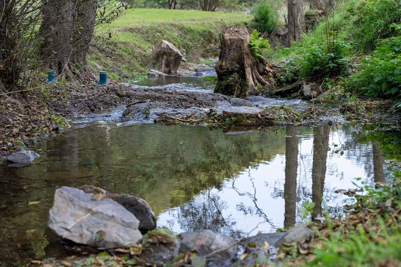 Rursee Schilsbachtal - Naturnahe Auszeit am Rursee - Eifel-Ferienwohnungen der besonderen Art Simmerath Exterior foto