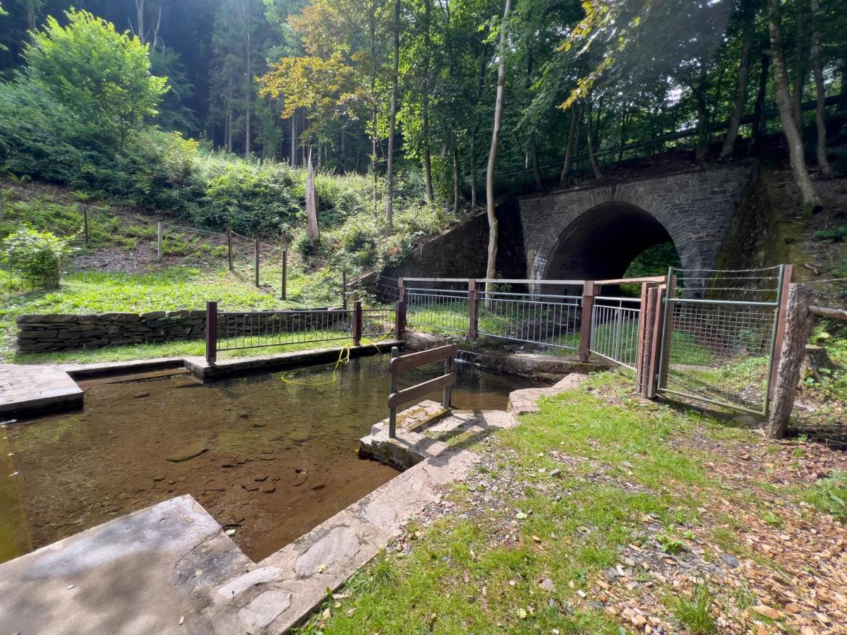 Rursee Schilsbachtal - Naturnahe Auszeit am Rursee - Eifel-Ferienwohnungen der besonderen Art Simmerath Exterior foto