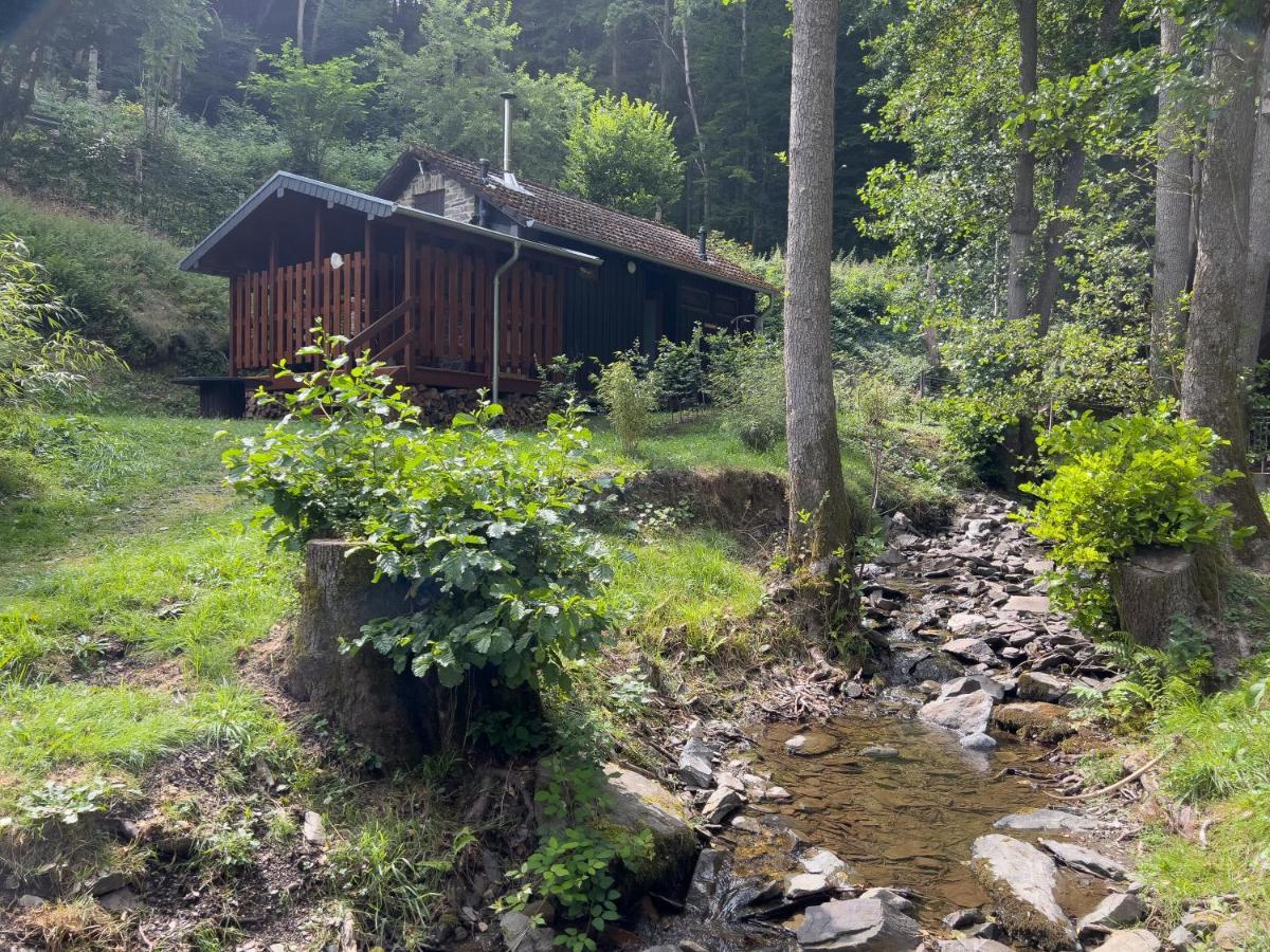 Rursee Schilsbachtal - Naturnahe Auszeit am Rursee - Eifel-Ferienwohnungen der besonderen Art Simmerath Exterior foto